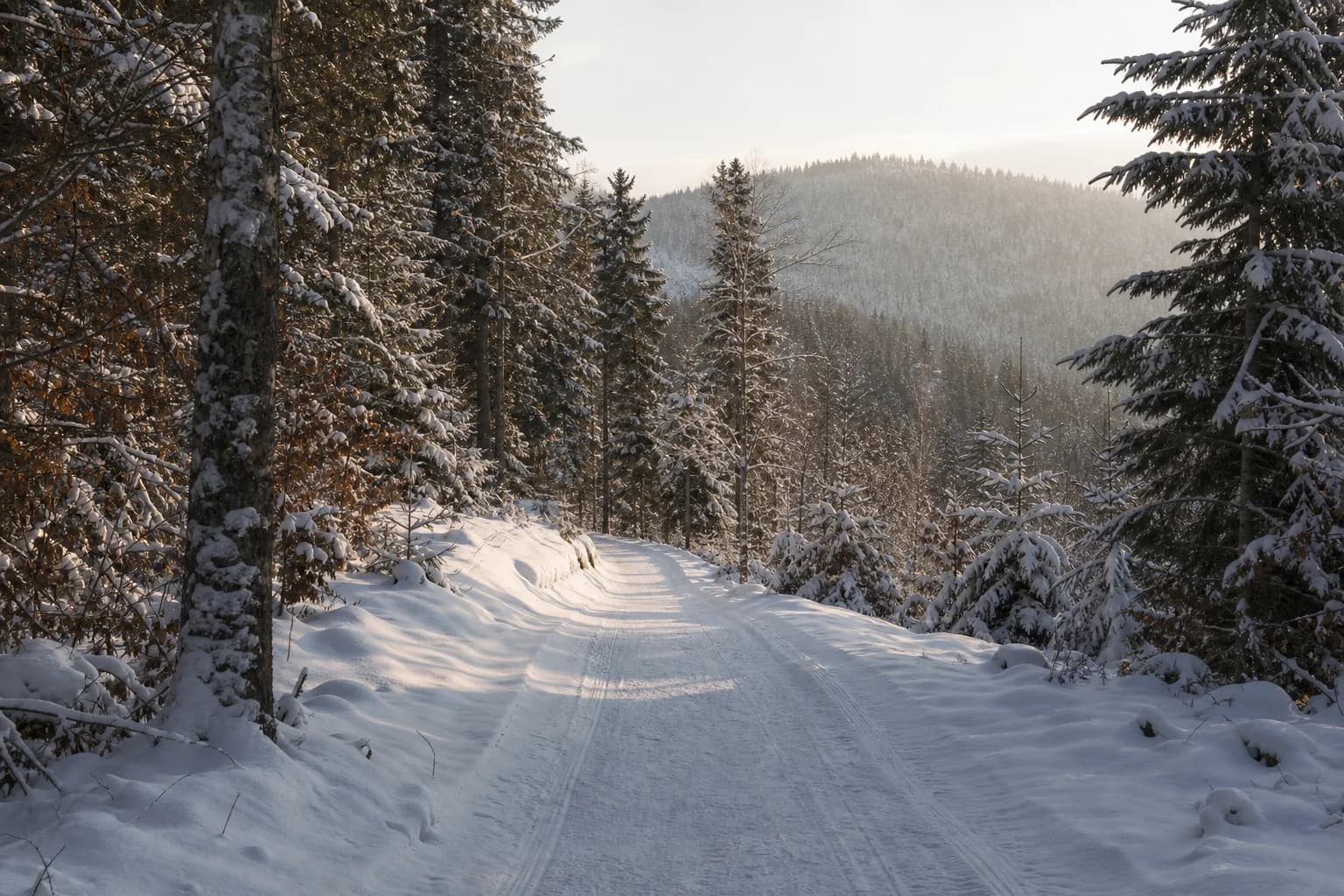 Verschneiter Waldweg im Bayerischen Wald