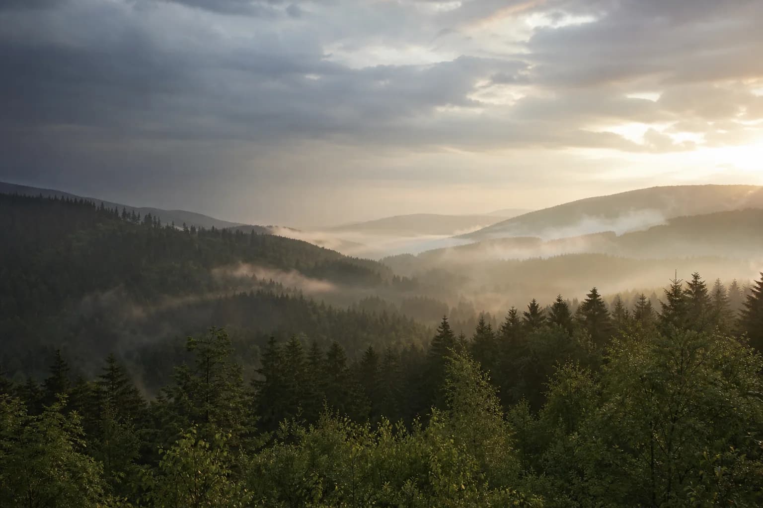 Bewaldete Hügel im morgendlichen Bayerischen Wald